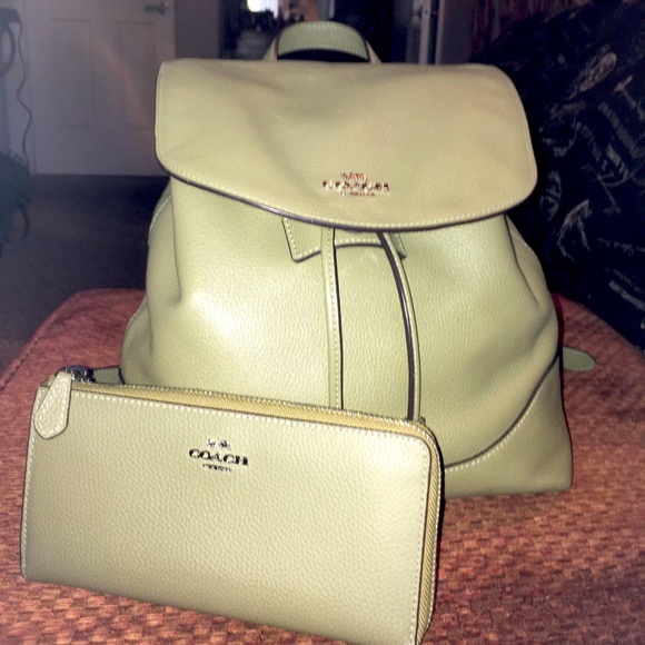 Coach Bag - Picture 1 of 7